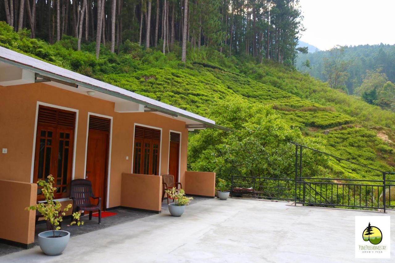 Pine Trees Homestay Наллатания Экстерьер фото