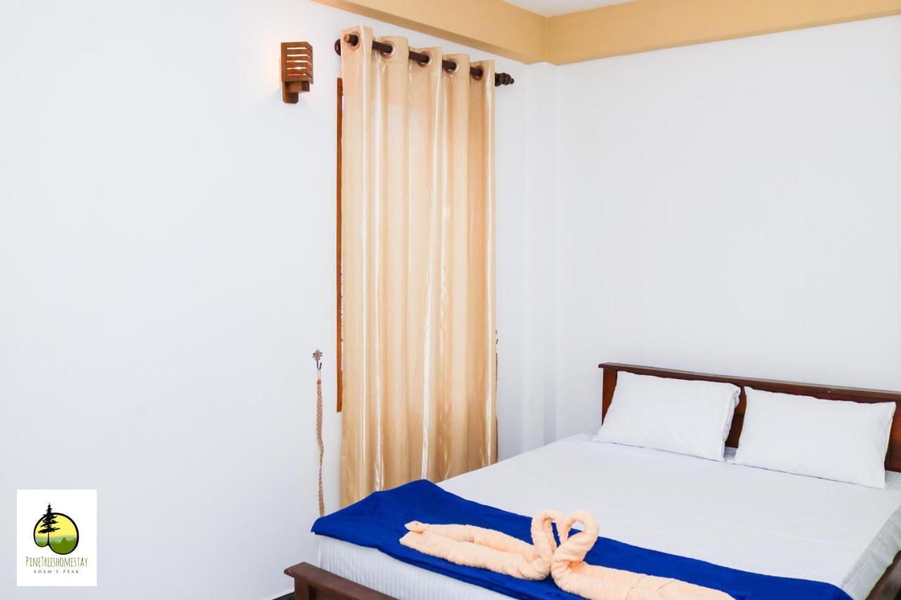 Pine Trees Homestay Наллатания Экстерьер фото