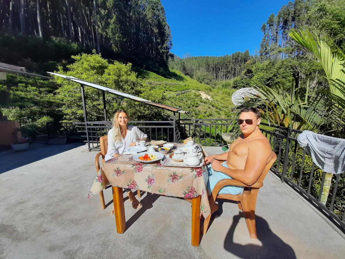 Pine Trees Homestay Наллатания Экстерьер фото