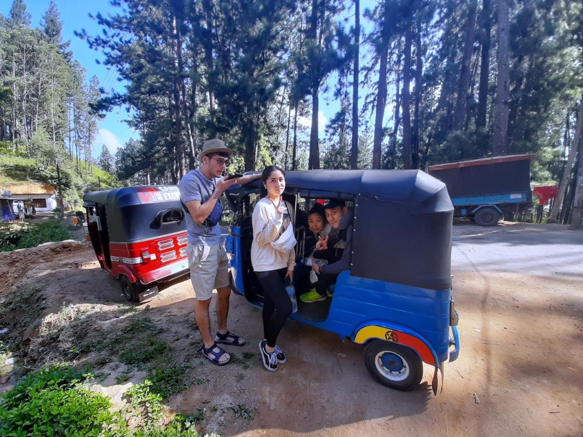 Pine Trees Homestay Наллатания Экстерьер фото